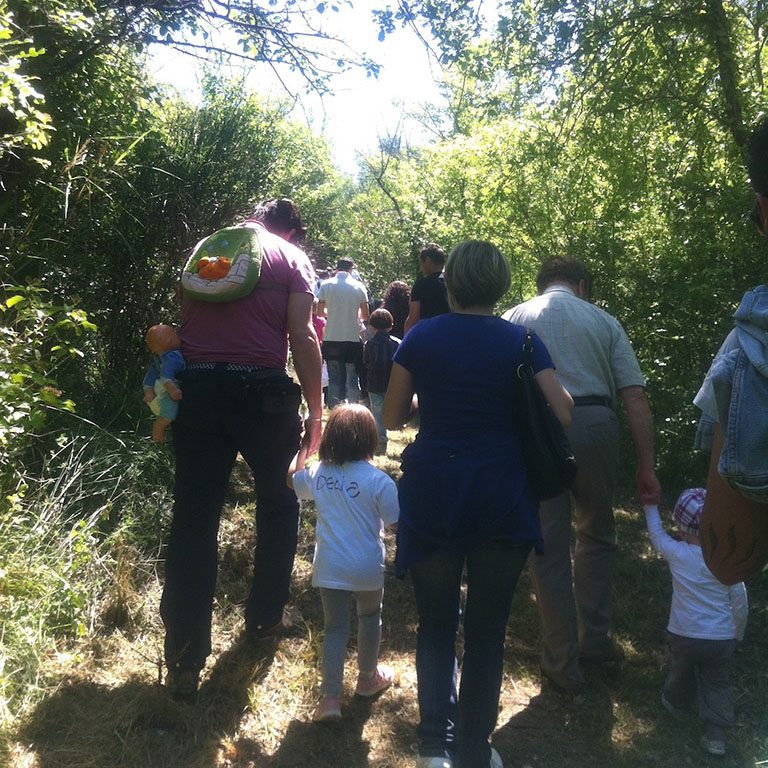 Passeggiate nel Bosco