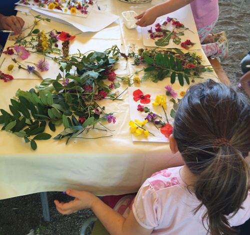 preparazioneerbario